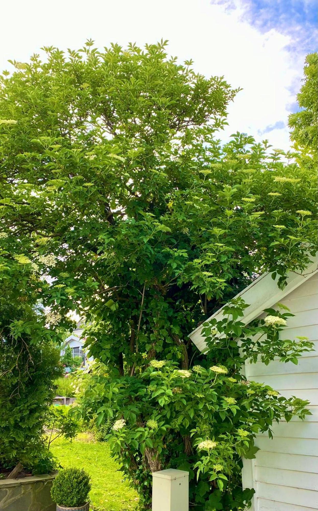 Apartment Down Town With Outside Area In *